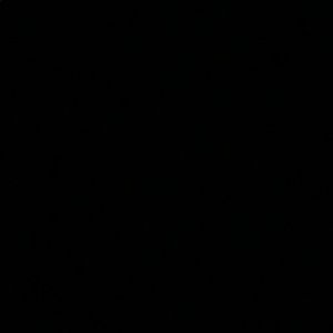 Meet your Posher, Sophia